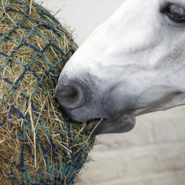 Slowfeeder 80 x 70 klein