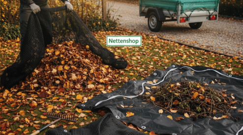 Weg met het herfstblad: onze 3 top oplossingen