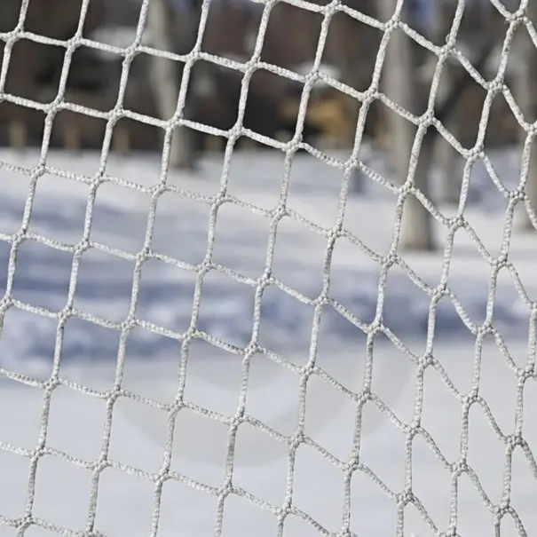 Hockeynet Ballenvangnet