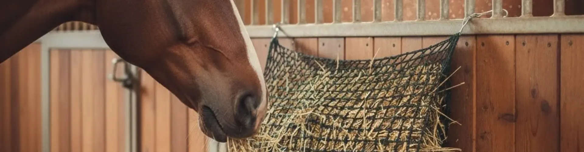 De beste slowfeeder voor jouw paard: voorkom verveling