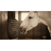 Slowfeeder of hooinet maatwerk