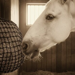 Slowfeeder net maatwerk