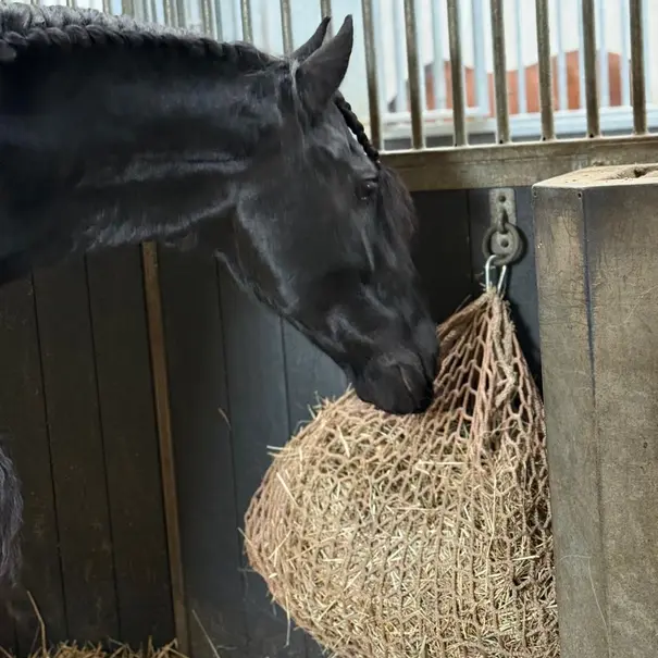 Slowfeeder net maas 45 mm