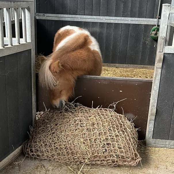 Slowfeeder 40mm maas groen