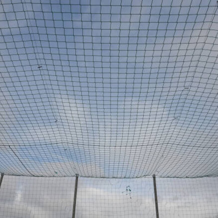 Welk net voor welk dier? De gids voor kippen, katten en vogels