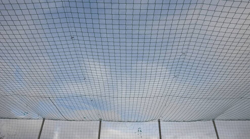 Welk net voor welk dier? De gids voor kippen, katten en vogels