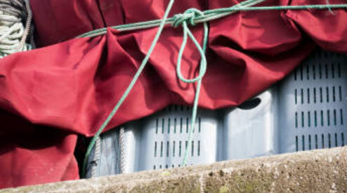 Soorten afdekzeilen uitgelegd: van lichtgewicht PE tot onverwoestbaar PVC