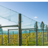 Tuinnet blauw per m2 op maat gesneden