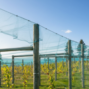 Tuinnet blauw per m2