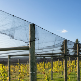 Knooploos tuinnet maas 22mm zwart