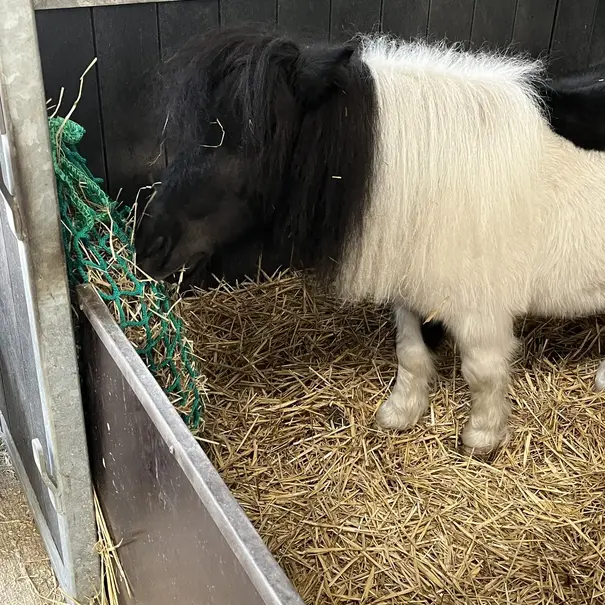 Slowfeeder hooizak 90 x 95 maas 45 en 60 mm