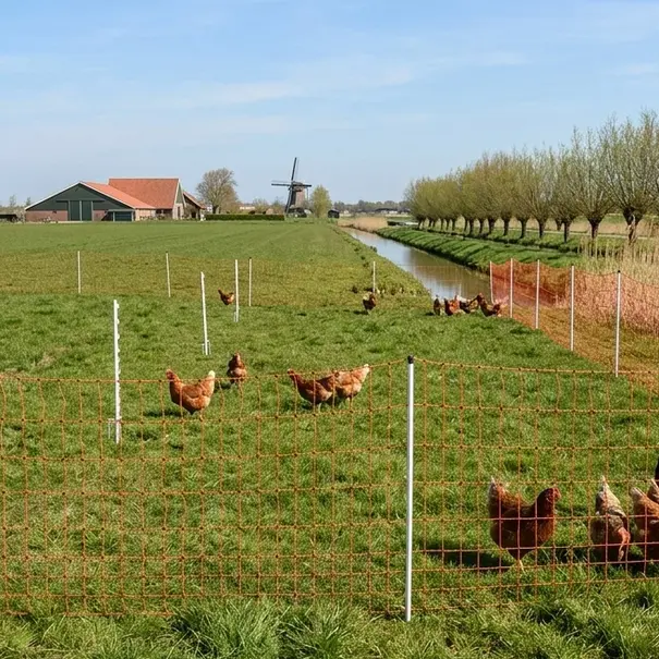 Euro-Netz Combi Pluimvee 112 cm dubbelpunt