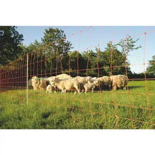 Euro-Netz 90 cm enkelpunt Schaap
