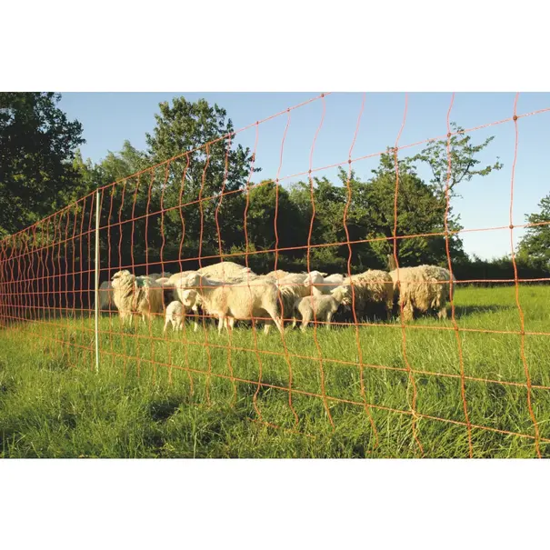 Euro-Netz 106 cm dubbelpunt Schapen