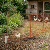 Euro-Netz Combi Pluimvee 112 cm ZS dubbelpunt