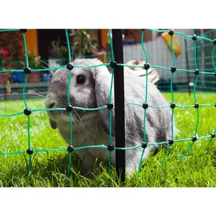 Net afrast konijn 65 cm - 12 meter enkelpunt