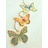 Imbarro Hele fraaie metalen hanger "Butterfly"