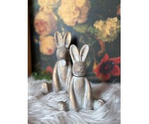 Vrolijke zittende haasjes