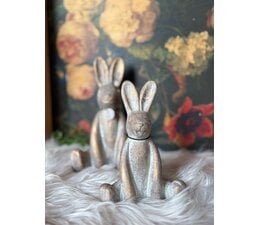 Vrolijke zittende haasjes (ruw