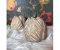 Colmore by Diga Stoere robuuste tulpen vazen | Brynxz