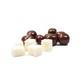 Coconut cubes* - oatmilk chocolate*