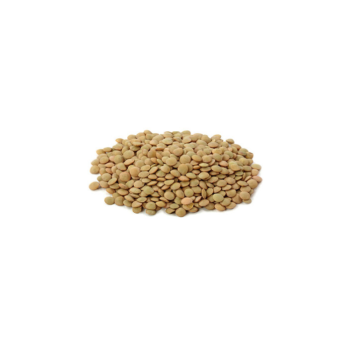 Lentils* - green