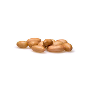 Pinda's* - met vlies - raw