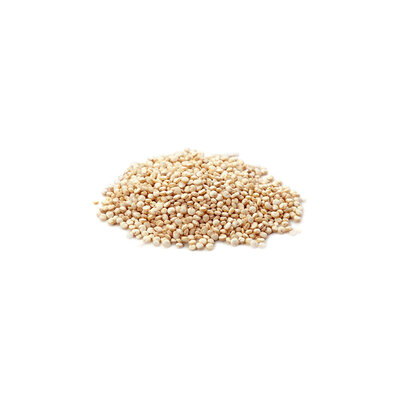 Quinoa* - Nederlandse teelt