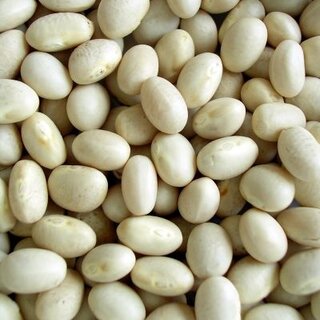 Beans* - white