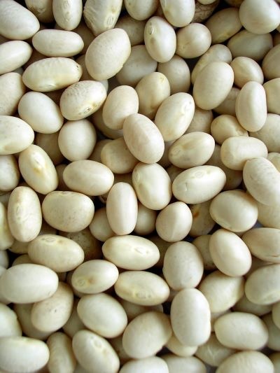 Beans* - white