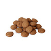 Dutch spiced biscuit bites*