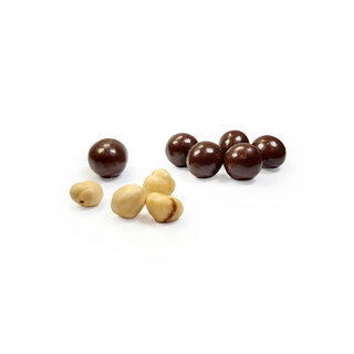 Roasted hazelnuts* - oatmilk chocolate*