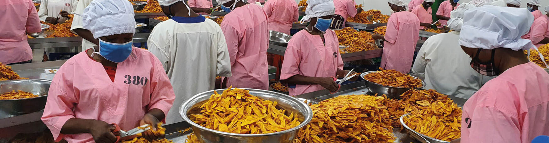 Heerlijke mangostrips