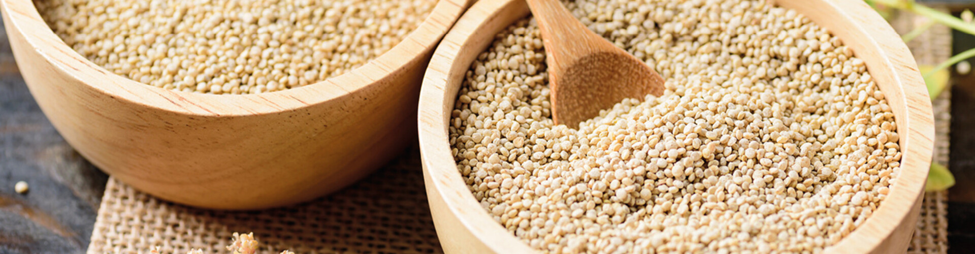 Nederlandse quinoa