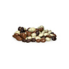 Raisins* - tricolore*