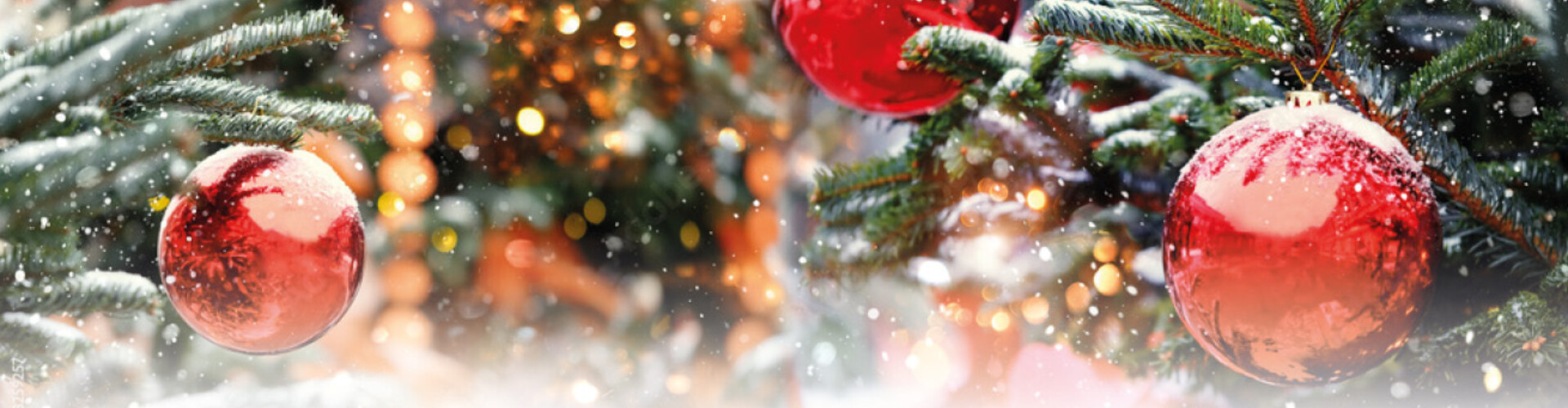 Bestel op tijd voor Kerst en Nieuwjaar!