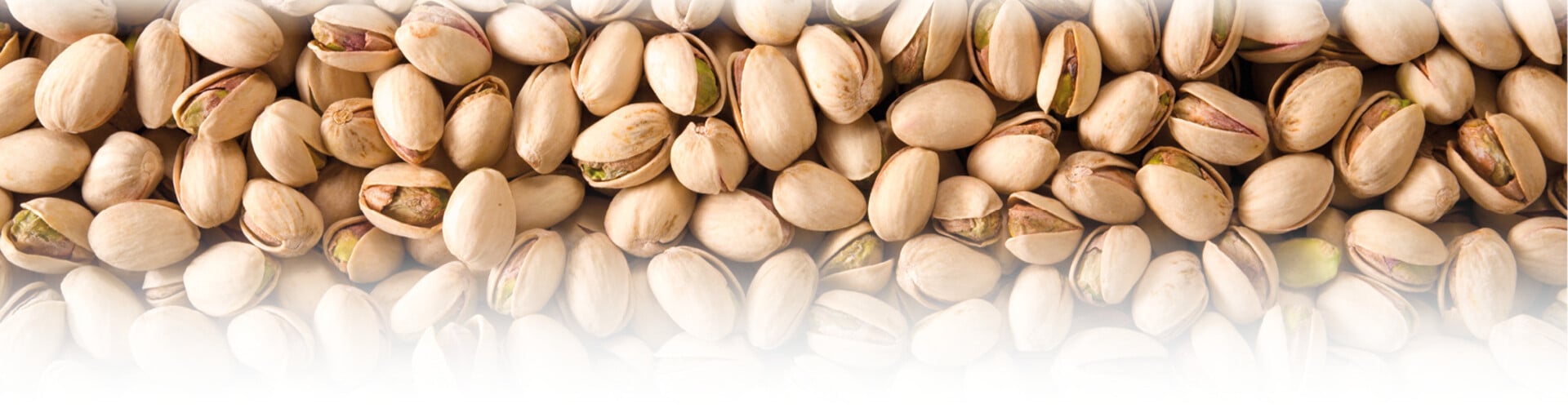 Good news: our pistachios are coming back!