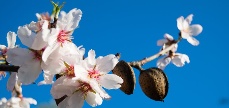 Es ist wieder Frühling