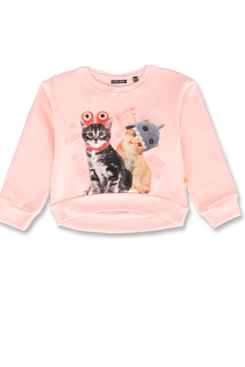 Lemon Beret | Winter 2019 Small Girls | Sweatshirt | 12 pcs/box Lemon Beret | Winter 2019 Small Girls | Sweatshirt | 12 pcs/box