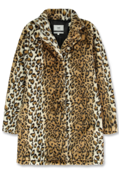 Emoi | Winter 2019 Ladies | Jacket | 10 pcs/box Emoi | Winter 2019 Ladies | Jacket | 10 pcs/box