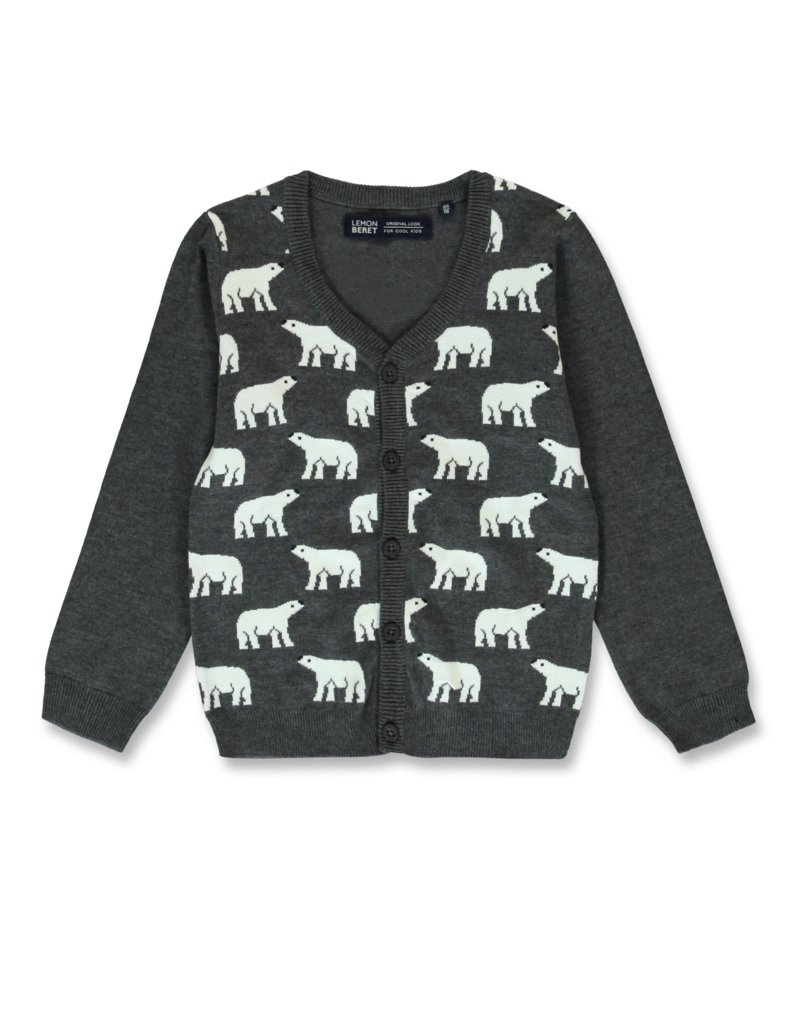 All Brands | Winterproducts Small Boys | Cardigan Knitwear | 12 pcs/box