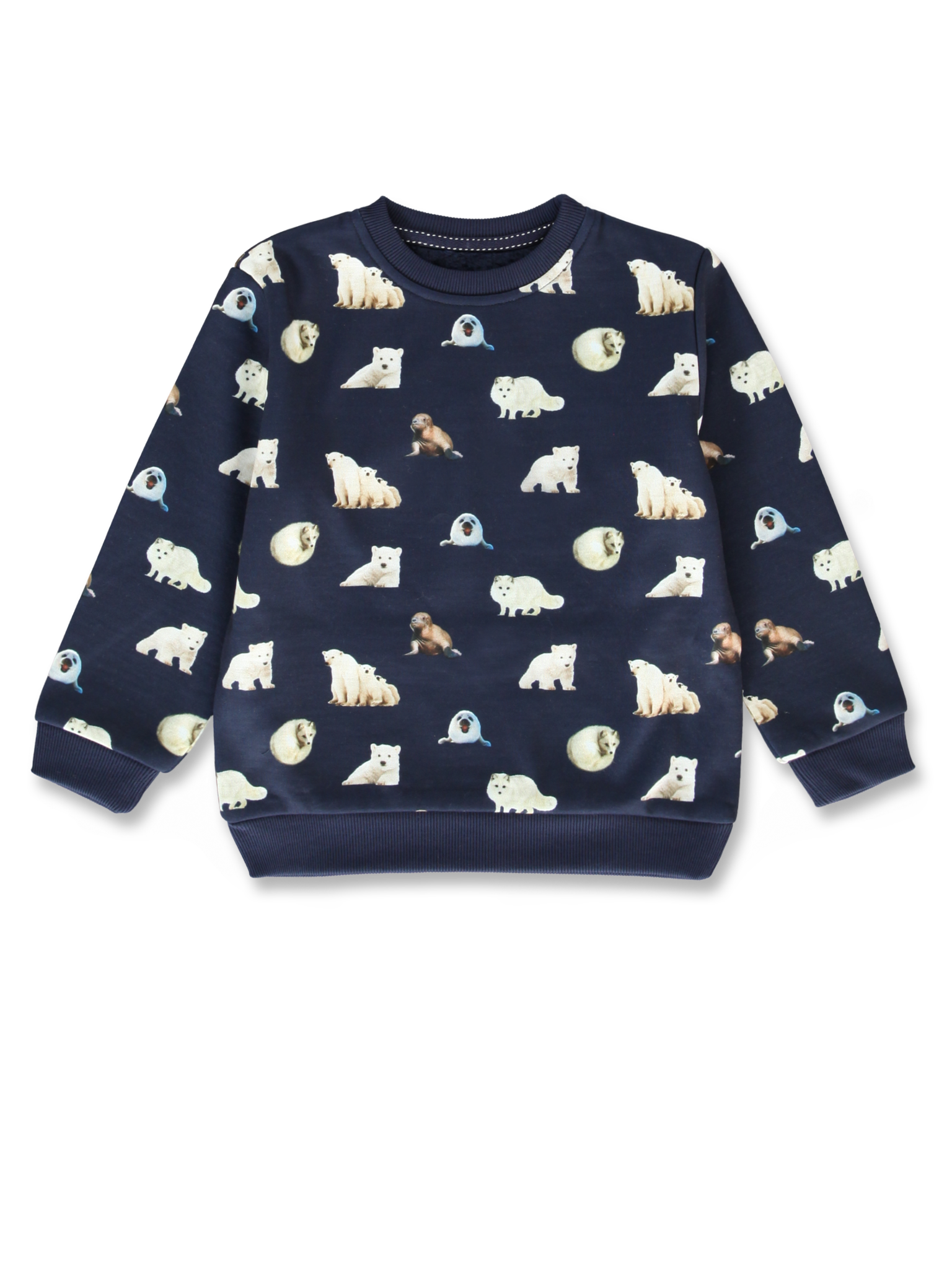 All Brands | Winterproducts Small Boys | Sweatshirt | 12 pcs/box