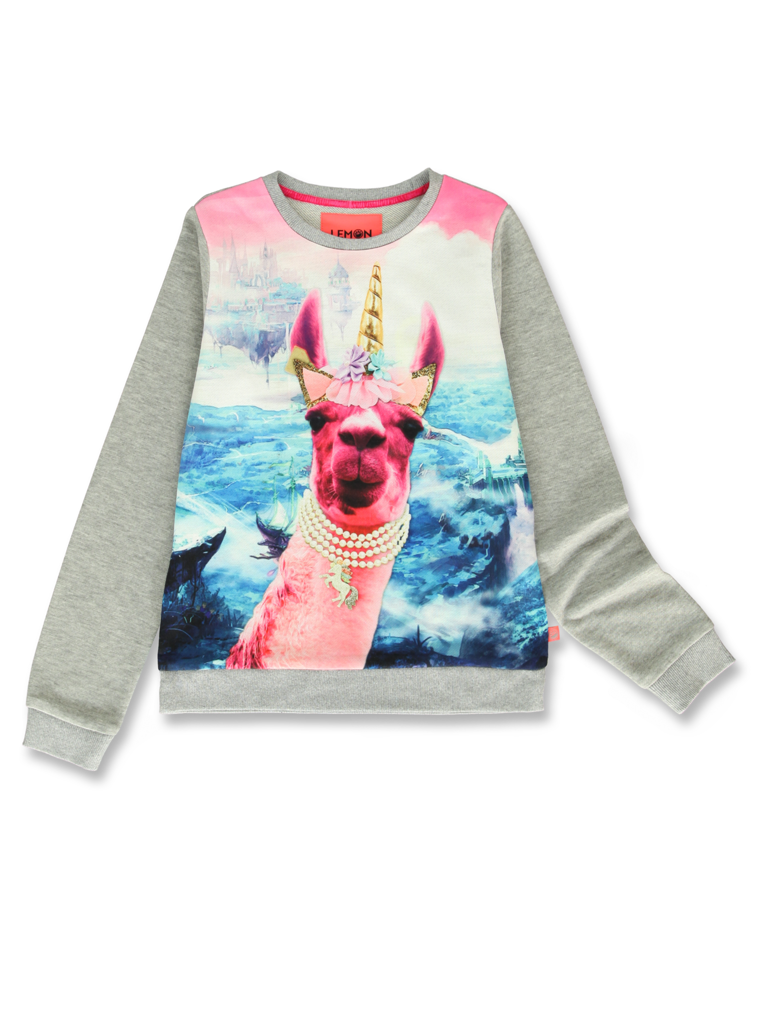 All Brands | Winterproducts Teen Girls | Sweatshirt | 12 pcs/box
