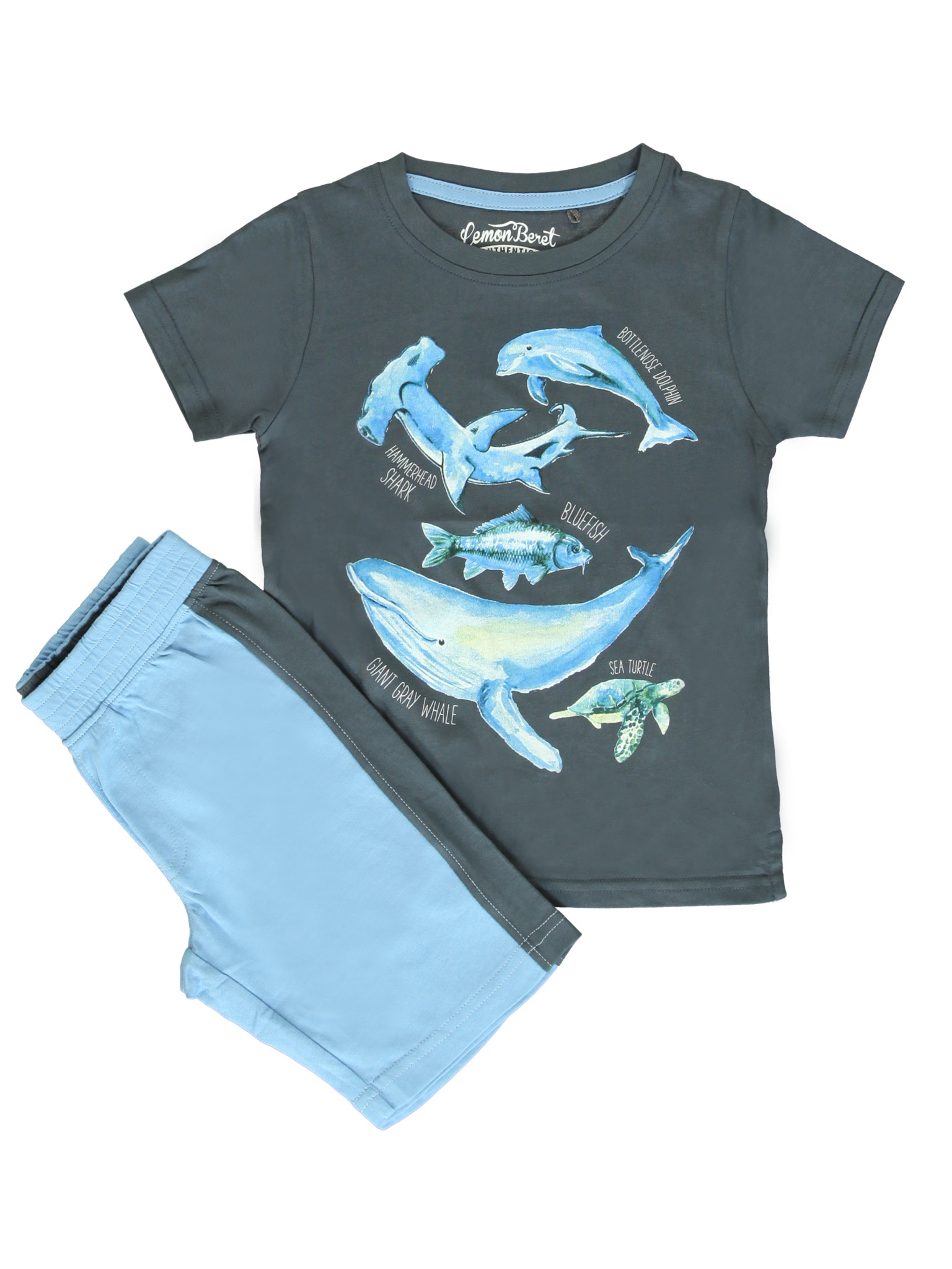 All Brands | Summerproducts Small Boys | Set | 12 pcs/box All Brands | Summerproducts Small Boys | Set | 12 pcs/box
