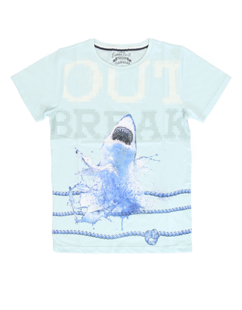 All Brands | Summerproducts Teen Boys | T-shirt | 12 pcs/box