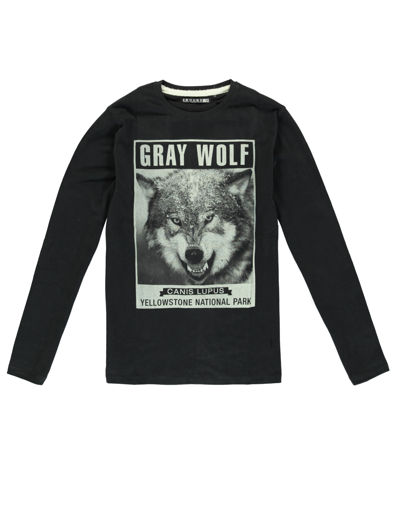 All Brands | Winterproducts Men | T-shirt | 24 pcs/box