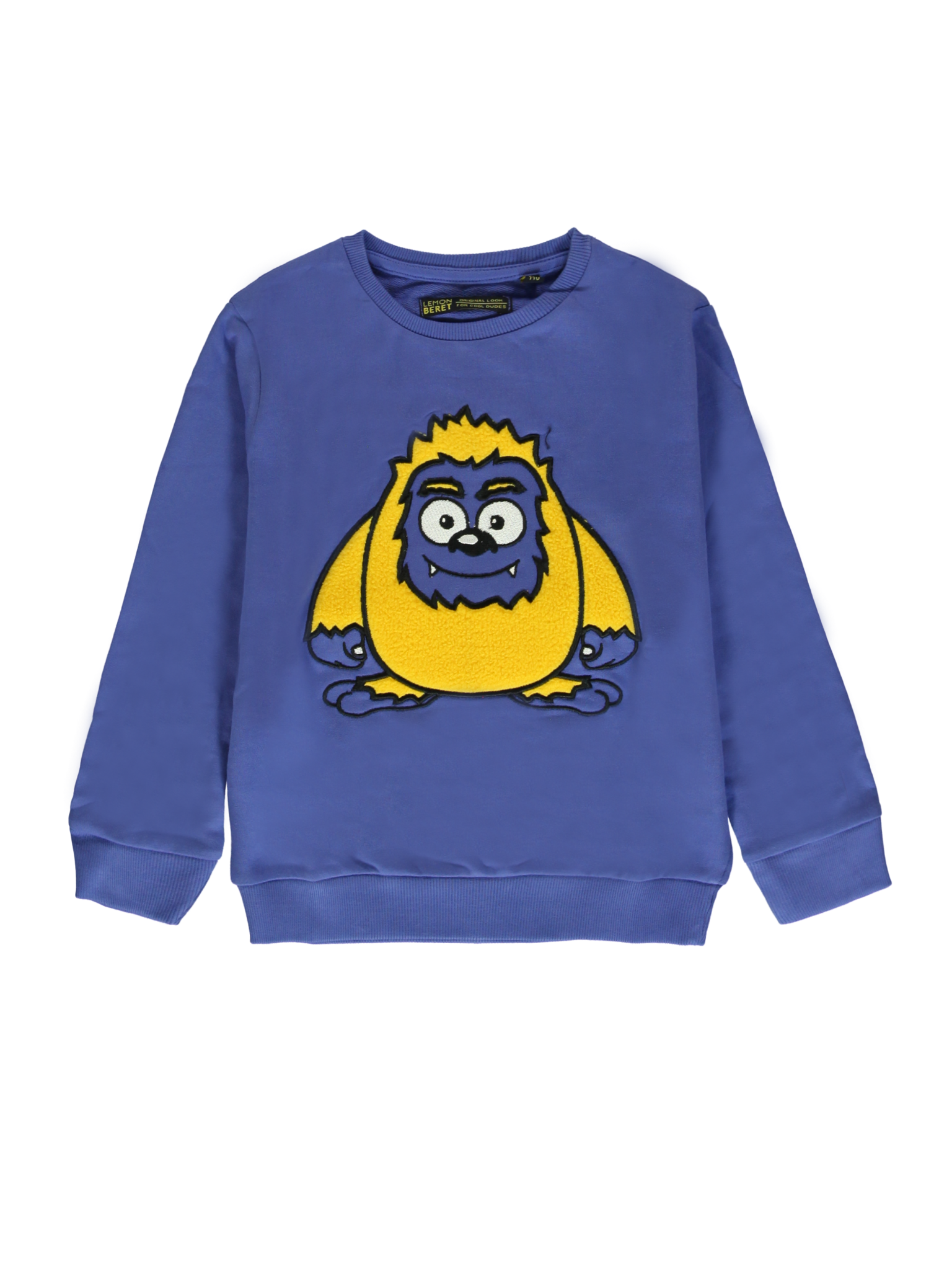 All Brands | Winterproducts Small Boys | Sweatshirt | 12 pcs/box All Brands | Winterproducts Small Boys | Sweatshirt | 12 pcs/box