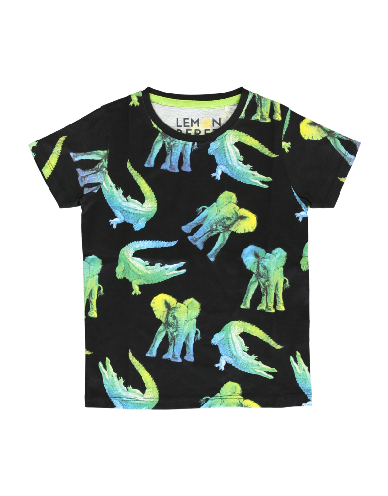 Lemon Beret | Summer 2020 Small Boys | T-shirt | 12 pcs/box