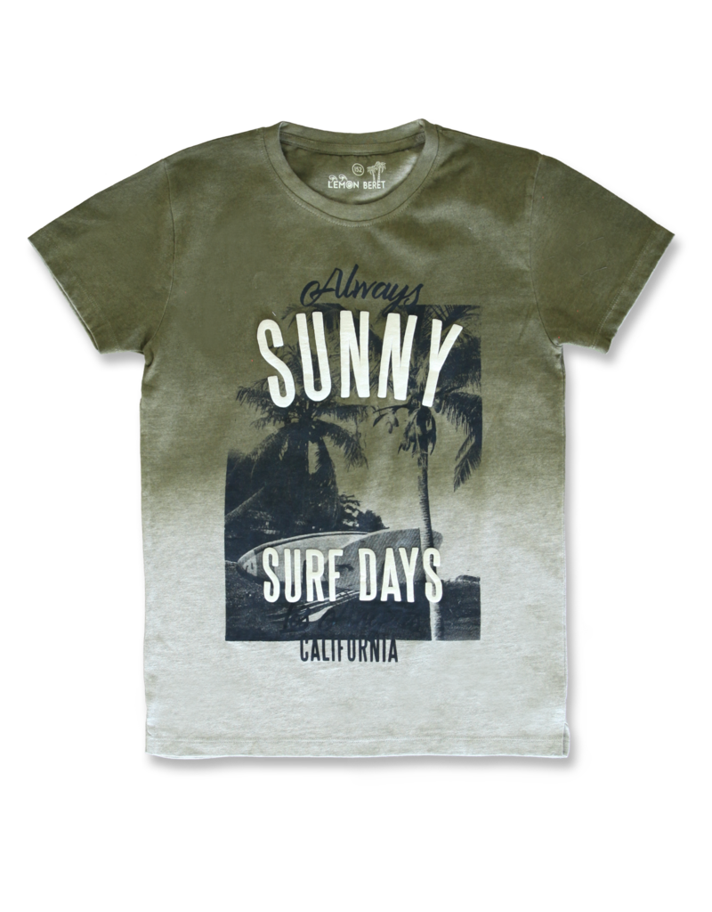 All Brands | Summerproducts Teen Boys | T-shirt | 12 pcs/box