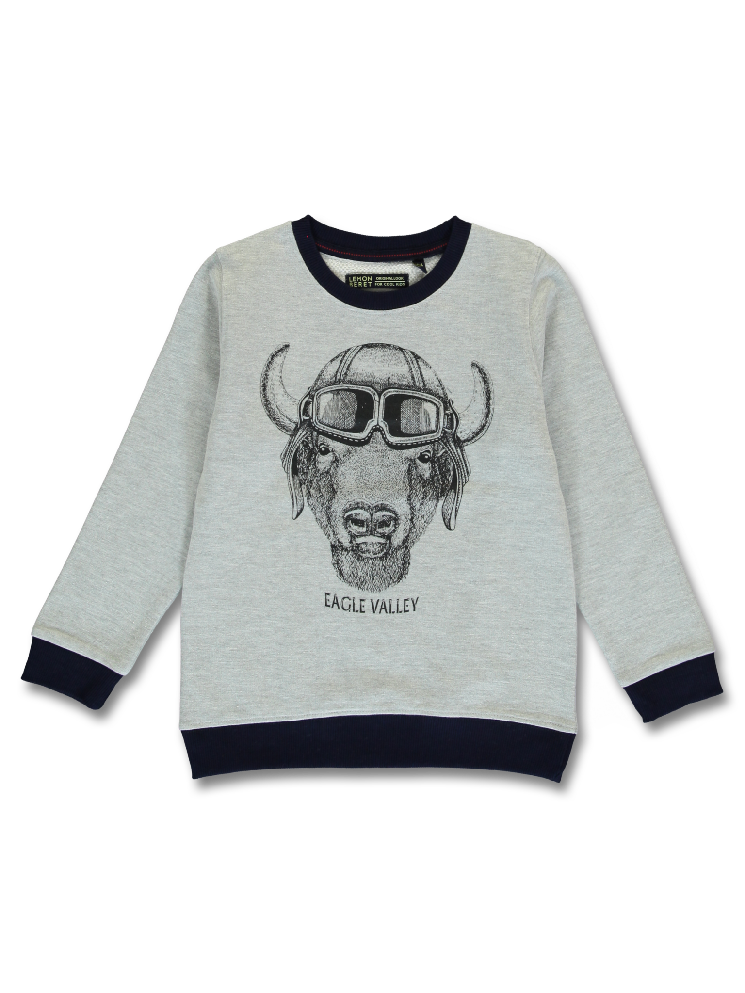 All Brands | Winterproducts Small Boys | Sweatshirt | 12 pcs/box